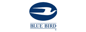 Blue Bird Logo